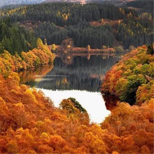 秋天唯美头像图片58张 高清唯美意境适合秋天的风景头像图片_风景头像