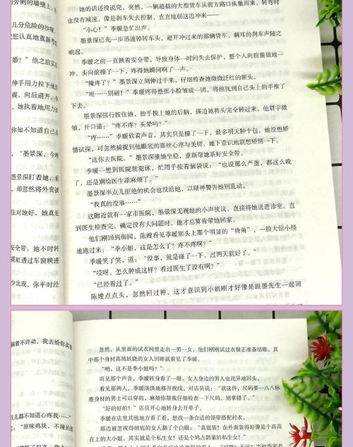 暖风不及你情深全3册青青谁笑青春文学9787555285304 长篇小说中国