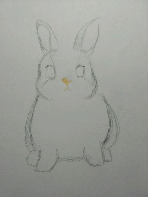 兔子的素描简笔画