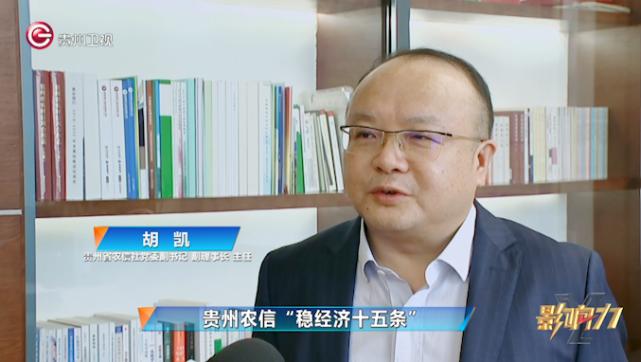 贵州省农信社党委副书记 副理事长 主任 胡凯:在机制上我们提出了
