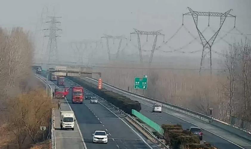 天津:津蓟高速公路一只羊,两车停下忙争抢,结果双双被处罚