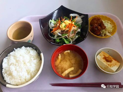 日本大学食堂里的招牌菜们好吃管饱