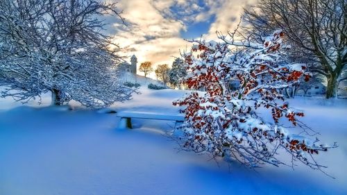 唯美自然雪景高清桌面壁纸