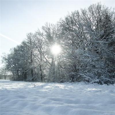 冬天唯美的雪景头像,下雪的冬天是极其美丽的