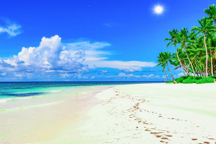 海岸海滩太阳棕榈树夏天热带天堂棕榈树6k风景6930x4625图片