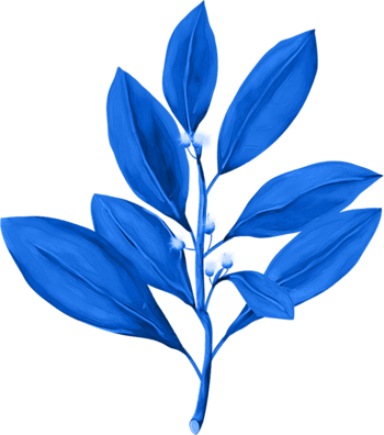 蓝色植物叶子