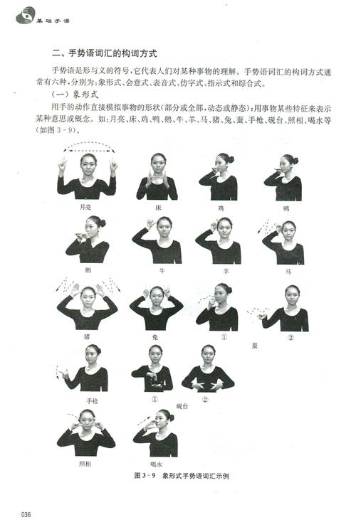 手语21世纪手指出版社师范大学南京欣赏翻译会话手势语教育