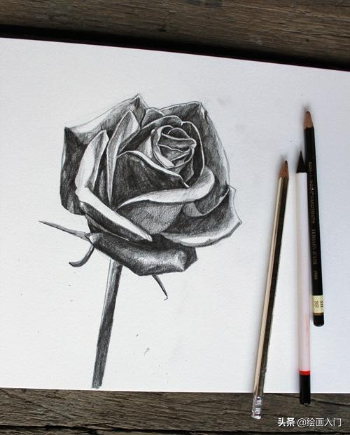 10个步骤教你用铅笔画逼真的玫瑰花,看似简单其实不易,来试试吧