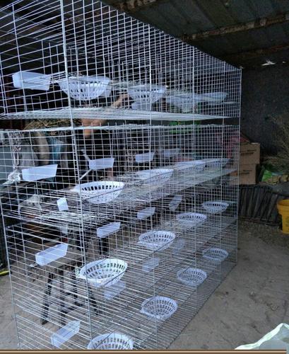 广东广州市从化市 自动饮水鸽笼子 带全套配件价格优惠