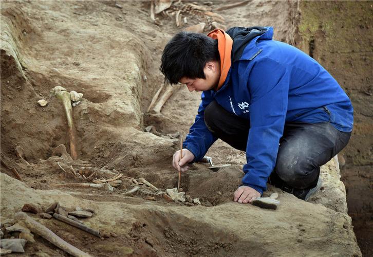 工作人员在仰韶村遗址第四次考古发掘现场作业(10月15日摄).