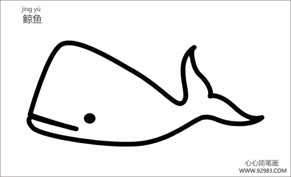 鲸鱼简笔画图片