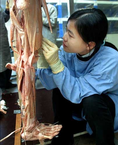 冯·哈根斯公司是一个专门从事生物塑化工作的公司,他们把尸体解剖