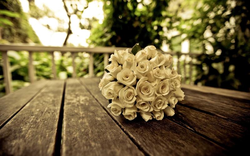 玫瑰花,花捧,小清新,唯美,玫瑰花语,花草集玫瑰花壁纸图片