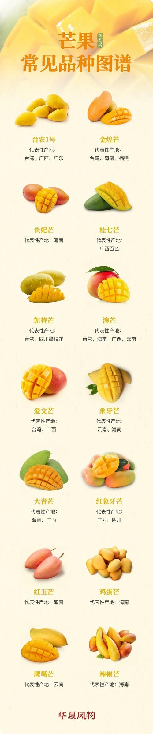 芒果常见品种图鉴 08华夏风物