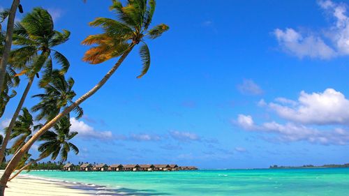 马尔代夫,蓝色的大海,热带,棕榈树,蓝天 3840x2160 uhd 4k 高清壁纸