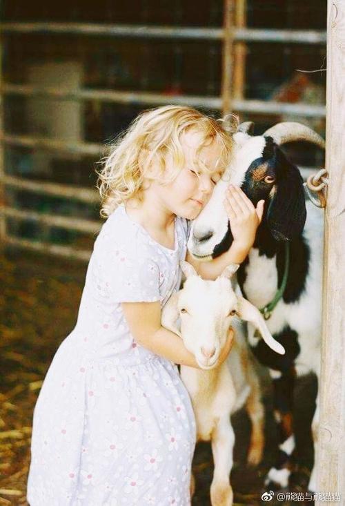 孩子和动物的自然纯真总会让人相信奇迹真诚纯洁