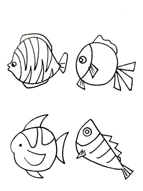 有关水的素描鱼的简笔画
