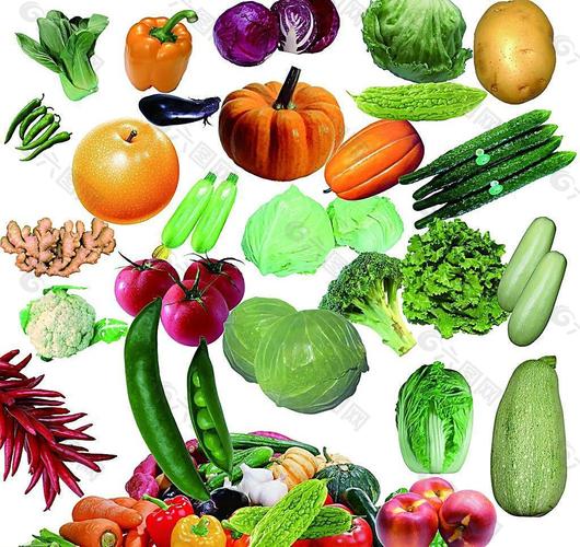 蔬菜图片设计元素素材免费下载(图片编号:3608021)-六图网