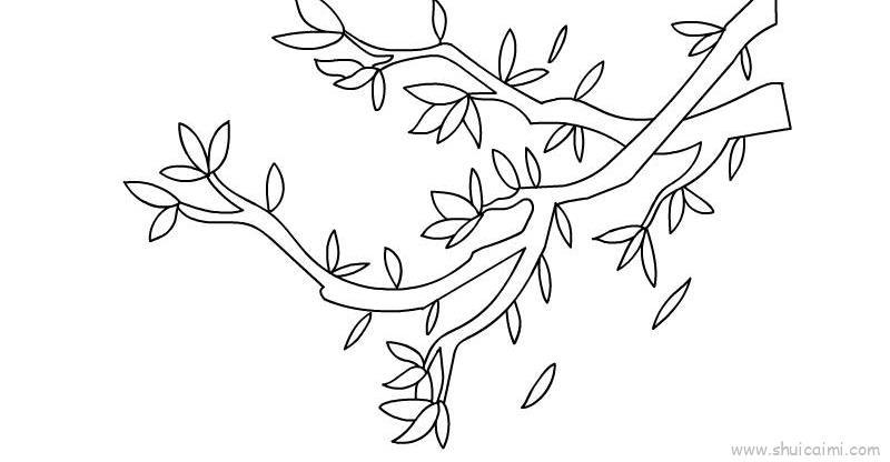 树枝儿童画怎么画树枝简笔画步骤