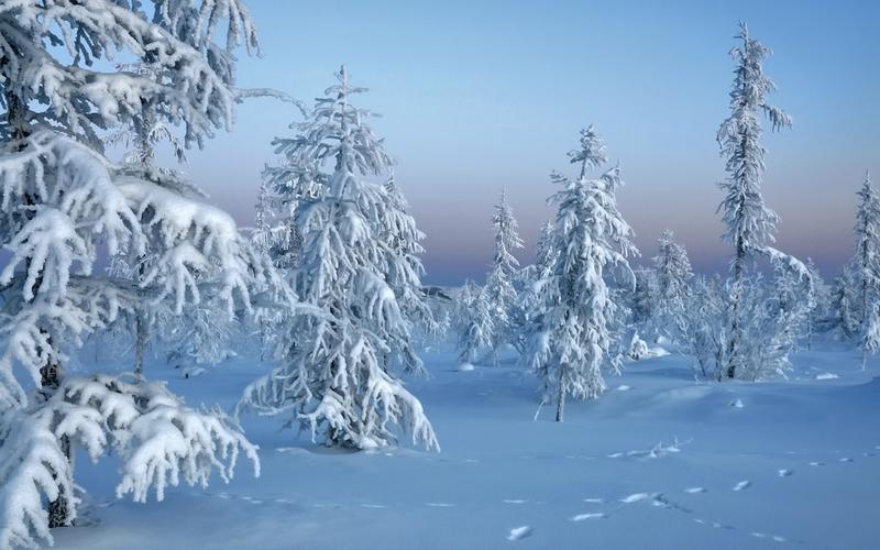 雪白世界唯美雪景风景桌面壁纸