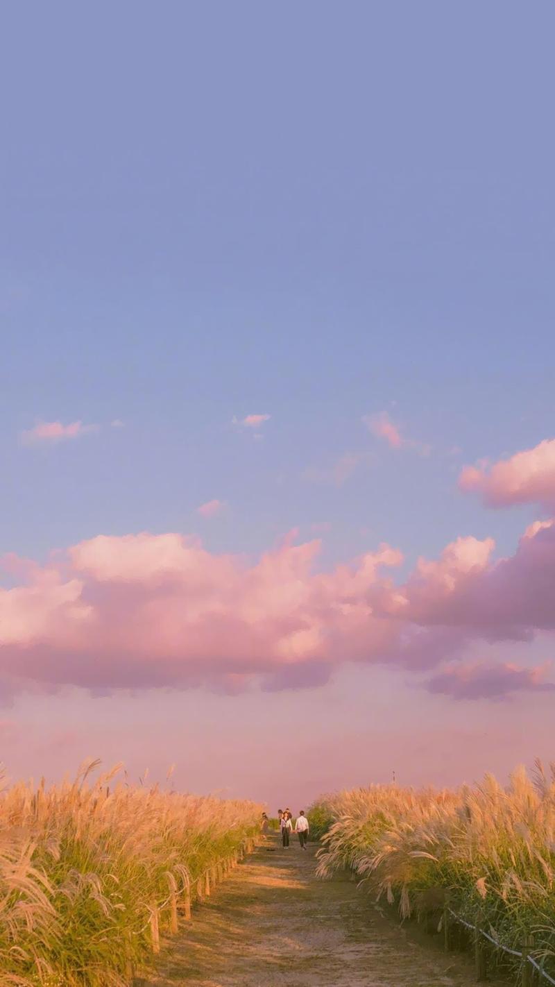 粉色天空摄影手机壁纸图片