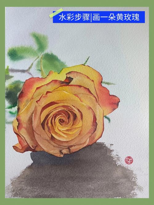 水彩步骤画一朵黄色玫瑰花