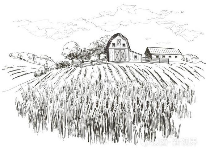 手绘向量农村景观雕刻风格例证插画-正版商用图片154lsm-摄图新视界