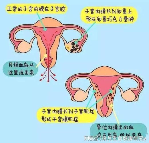 随着年龄的增长,部分女性开始出现卵巢功能衰退的现象,女性体内的激素