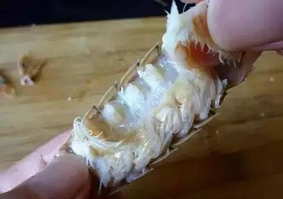 最快速剥皮皮虾外壳的方法,最后一个太完美了!
