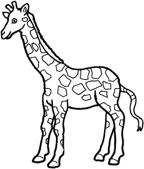 长颈鹿的简笔画 长颈鹿的简笔画画