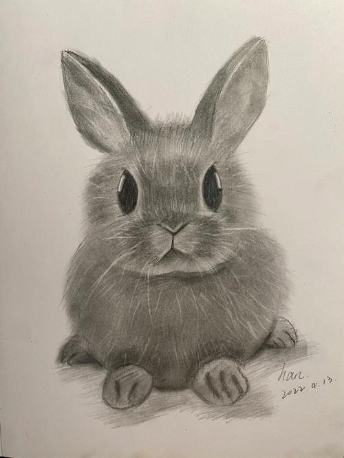 素描一只可爱的小兔子