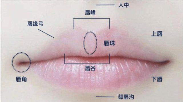 评估唇红体与唇周组织容量情况,关键部位是否存在不对称的情况;5
