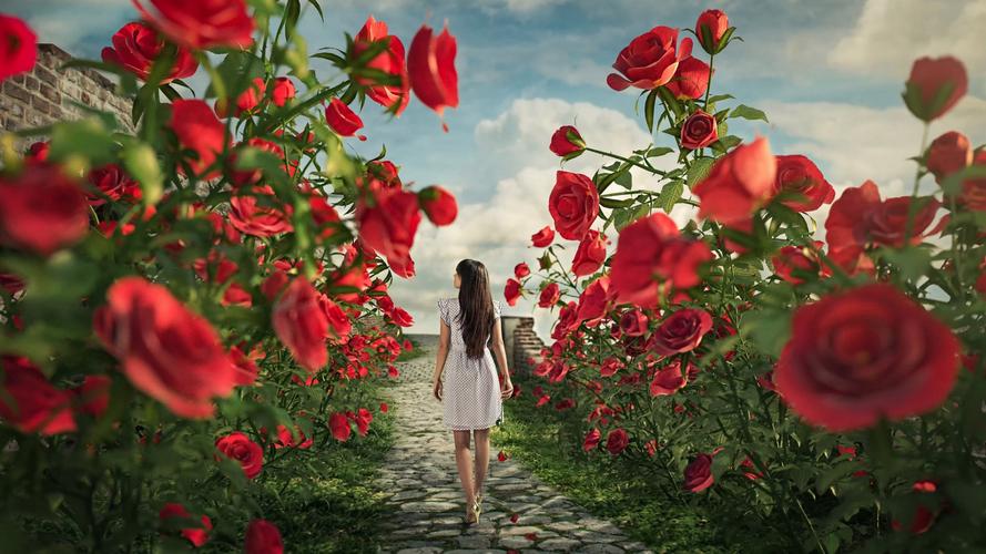 爱丽丝梦游玫瑰,女孩,玫瑰,步道,唯美壁纸