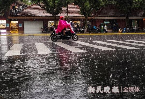 图说:暴雨普降上海  新民晚报记者 陶磊 摄