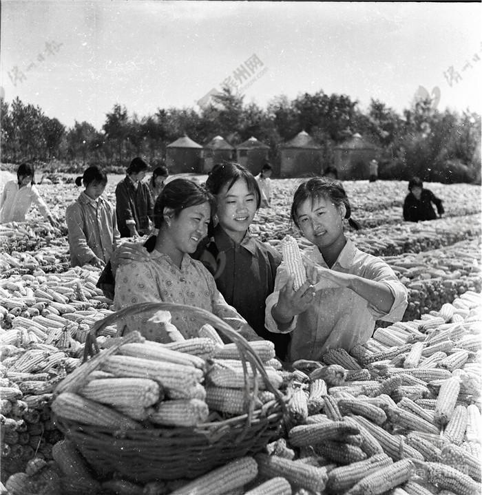 壮丽70年滨州成长足迹:1974年 惠民地区开始推行火葬