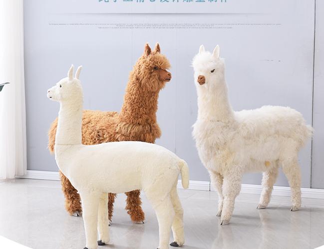 仿真羊驼模型羊驼摆件皮毛工艺品道具动物橱窗展示羊驼摆件