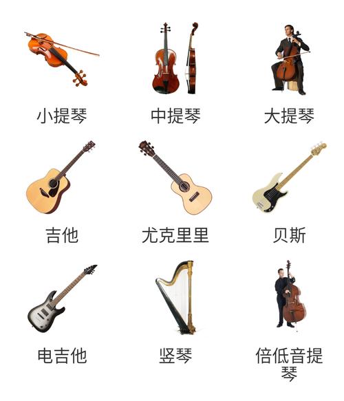 乐器的种类有哪些(西洋乐器和中国乐器知识普及)-2