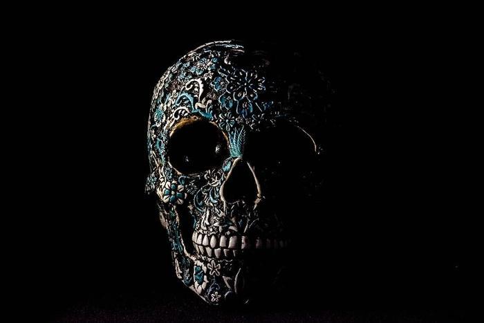骷髅骨头墨西哥人骷髅人头人类哥特式摄影棚拍摄