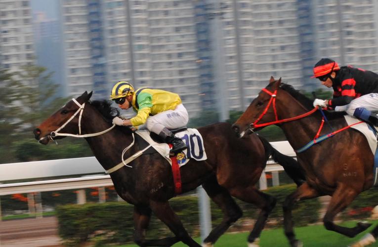2013年初三的香港赛马(2)
