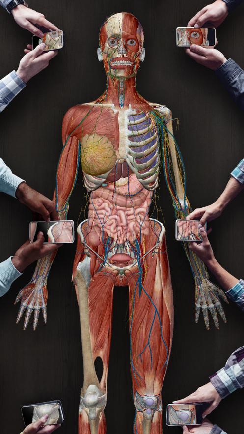 2021人体解剖学图谱app