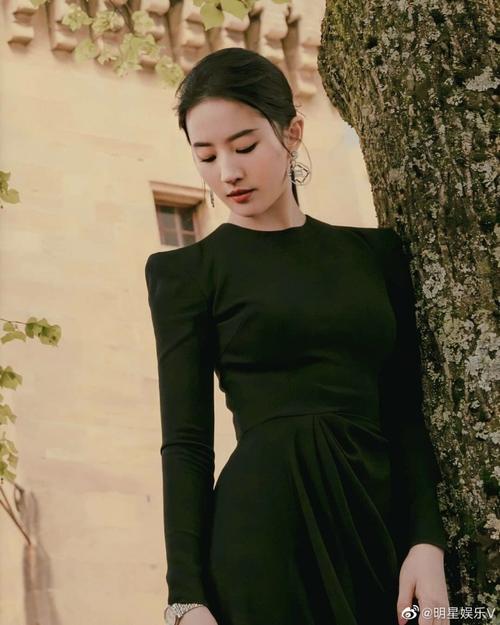 [女神新照]刘亦菲黑长裙照片,你打多少分? zt