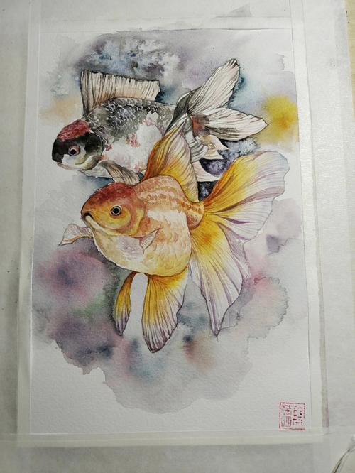 小金鱼水彩画