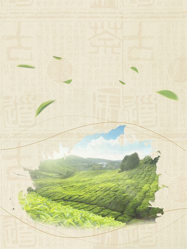背景搜索 > 简约云南普洱茶宣传海报设计 100