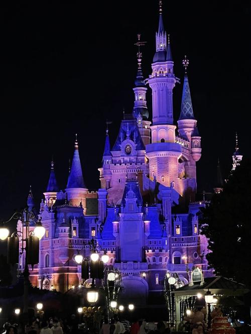 迪士尼城堡绝美夜景78真是太好看啦