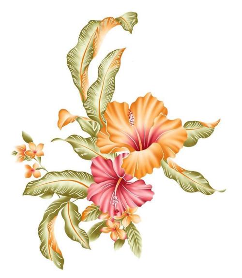 手绘彩色花朵花卉植物插画