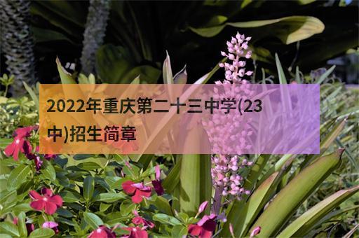 2022年重庆第二十三中学(23中)招生简章-2