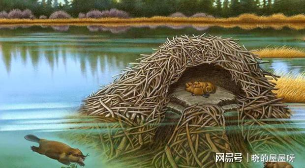 3代科学家研究86年,终于破解"远古螺丝"|巴伯|河狸|古生物学家|动物