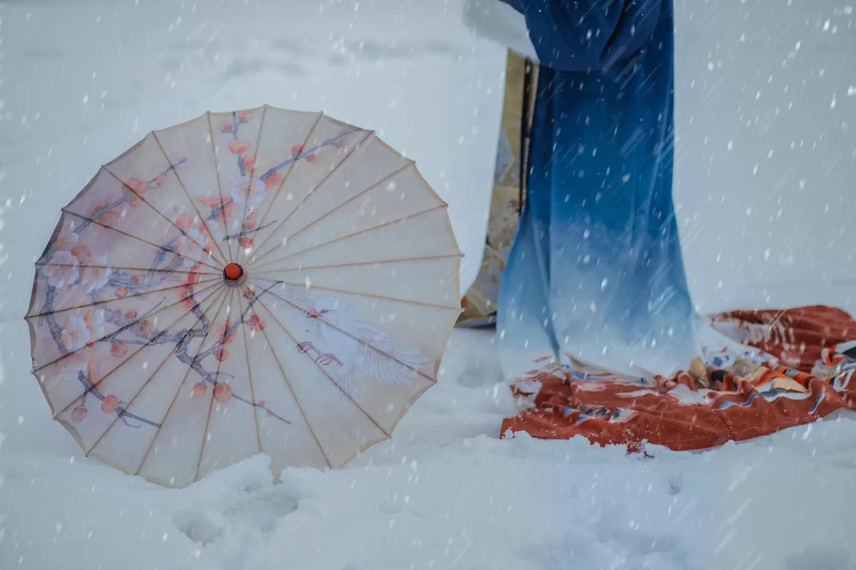带你看雪 #唯美古风壁纸 #国风合伙人 今年的雪下到了江南 - 抖音