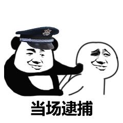 当场逮捕熊猫头gif动图_动态图_表情包下载_soogif