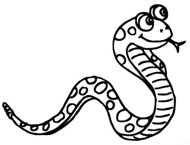 眼镜蛇简笔画图片 如何画一条眼镜王蛇